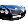 Produktbild: Bentley Continental GT – unterer Grill, Grillsatz, silbern (2003 bis 2007)