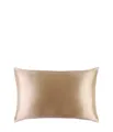 Produktbild: Slip Pure Silk Queen Pillowcase Caramel Kissen 1 Stk