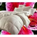 Produktbild: Hofmann Canada Ganzjahres Daunendecke Daunenbett 4x6 155x220 1200 g 100% Daunen - Weiß