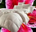 Produktbild: Hofmann Canada Ganzjahres Daunendecke Daunenbett 4x6 155x220 1200 g 100%  Daunen