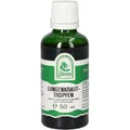 Produktbild: Lungenkraut Tropfen für die Lunge, Bronchien, Atemwege 50 Milliliter