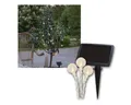 Produktbild: STAR TRADING LED-Lichterkette LED Lichterkette 
