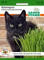Produktbild: SAMEN PFANN Kräutersamen Katzengras vitaminreich, Futtergras Futterhafer Tiergras Futterpflanze