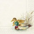 Produktbild: IHR Ideal Home Range - Papierservietten HUNTED DUCKS cream 20 St. Cocktail-Servietten 25 cm x 25 cm