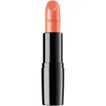 Produktbild: Perfect Color Lipstick