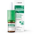 Produktbild: Visiodoron Euphrasia Augentropfen