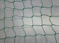 Produktbild: Ballnetz Höhe 15,00  m Länge 10,00 m grün Ballfangnetz Fangnetz Fußballnetz Netz