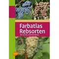 Produktbild: Farbatlas Rebsorten