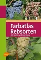 Produktbild: Farbatlas Rebsorten: 300 Sorten und ihre Weine (Farbatlanten)