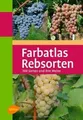 Produktbild: Farbatlas Rebsorten: 300 Sorten und ihre Weine von ... | Buch | Zustand sehr gut