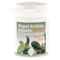 Produktbild: nopal kaktus 500 mg kapseln 60 St