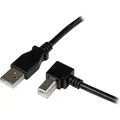 Produktbild: StarTech USB 2.0 A auf B Kabel (2 m, USB 2.0) (USBAB2MR)