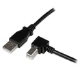 Produktbild: StarTech.com 2M USB 2.0 A AUF B KABEL