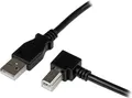 Produktbild: StarTech.com 2m USB 2.0, 2.0, USB A, USB B, 480 Mbit/Sek, 2 m, 65 g