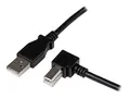 Produktbild: USBAB2MR StarTech.com 2m USB 2.0 A auf B Kabel rechts gewinkelt St/St Drucke ~D~