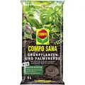 Produktbild: Compo SANA Grünpflanzen- und Palmenerde mit 8 Wochen Dünger für alle Zimmer- und Balkonpflanzen sowie Palmen und Farne, Kultursubstrat, 5 Liter