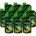 Produktbild: 10x1 Liter FANFARO M-4T PLUS API SL JASO MA/MA2 Synthetisch