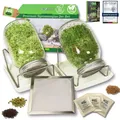 Produktbild: ® Das Original Sprossenglas 2er Set + KRESSESIEB + 3 x Saatgut-Set mit hochwe...