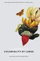 Produktbild: Coloniality at Large: Latin America and the Postcolonial... | Buch | Zustand gut