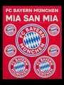 Produktbild: FC Bayern München Aufkleberkarte 2er Set - Sticker 31919