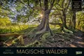 Produktbild: Magische Wälder 2026: Großer Foto-Wandkalender mit Bildern aus bunten Wäldern. Edler schwarzer Hintergrund. PhotoArt Panorama Querformat: 58x39 cm.