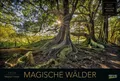 Produktbild: Magische Wälder 2026 Verlag Korsch Kalender 14 S. Deutsch 2026 EAN 9783731883487
