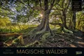 Produktbild: Magische Wälder 2026 Verlag Korsch
