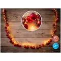 Produktbild: Näve LED-Outdoor-Weihnachtslichterkette l: 250cm rot