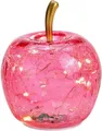 Produktbild: G.Wurm GmbH LED Dekoobjekt LED Dekolampe Apfel Glas 10er LED Lichterkette Timer Ø 11cm pink/rosa