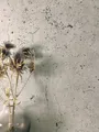 Produktbild: Newroom Vliestapete, Grau Tapete Modern Beton - Betonoptik Betonwand Braun Industrial Bauhaus Zement für Wohnzimmer Schlafzimmer Küche, Betonoptik, Betonwand