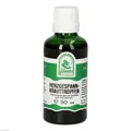 Produktbild: 2x HERZGESPANNKRAUT Tropfen zum Einnehmen 50 ML