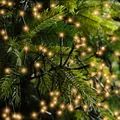 Produktbild: Kaemingk Lumineo Cluster Lichterkette 2040 LED klassisch warm außen 19 m schwarz