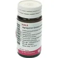 Produktbild: Agropyron Globuli velati 20 g