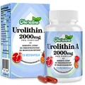 Produktbild: Urolithin A Ergänzung 2000mg - 120 Weichkapseln 60-Tage-Vorrat