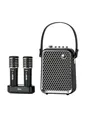 Produktbild: Divoom SongBird-HQ2 Karaoke speaker with 2 microphones - Black