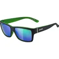 Produktbild: ALPINA Sportbrille 