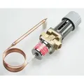Produktbild: Danfoss - Temperaturregler Avta 20 Rp 3/4', 0-30 Grad C Kvs 3,4