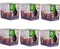 Produktbild: 6x Air Wick Duftkerze Brombeere und Cranberry Essential Oils Ger - 105g