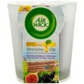 Produktbild: Air Wick Duftkerze BLÜTENZAUBER 1x 105g Brombeerblüte & Wildfeige ätherische Öle