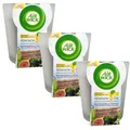 Produktbild: Air Wick Blütenzauber Duftkerze Brombeerblüte&Wildfeige (3x 105g)