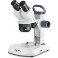 Produktbild: Kern Stereomikroskop OSF, Typ: OSF439 (OSF 439)