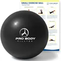 Produktbild: ProBody Pilates Ball, Kleiner Gymnastikball, 9-Zoll-Barre-Ball, Trainingsball für Stabilität, Barre, Fitness, Bauch, Rumpf, Physio- und Physiotherapieball (schwarz)