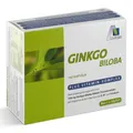 Produktbild: Avitale Gingko-Biloba mit 100 mg Gingko-Blätter-Trockenextrakt+Vitamin-Komplex