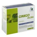 Produktbild: GINKGO 100 mg Kapseln+B1+C+E, 192 St PZN 02909335