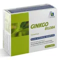 Produktbild: GINKGO 100 mg Kapseln+B1+C+E 192 St