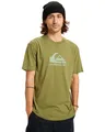 Produktbild: Quiksilver Ev Comp Logo SS T-Shirt Herren (1 Stück)