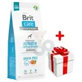 Produktbild: BRIT CARE Dog Grain-free Junior Large Breed Salmon 12kg + Überraschung für den Hund