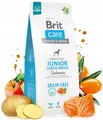 Produktbild: Brit Care GrainFree Junior Large Dog Lachs 12kg