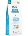 Produktbild: BRIT Care Grain-free Junior Large Breed Trockenfutter mit Lachs 12 kg