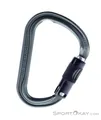 Produktbild: Petzl William Ball-Lock HMS-Karabiner-Grau-One Size